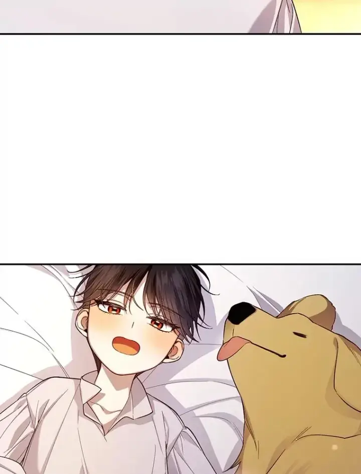 漫画《如何隐藏皇帝的孩子》72.一见钟情第67张图