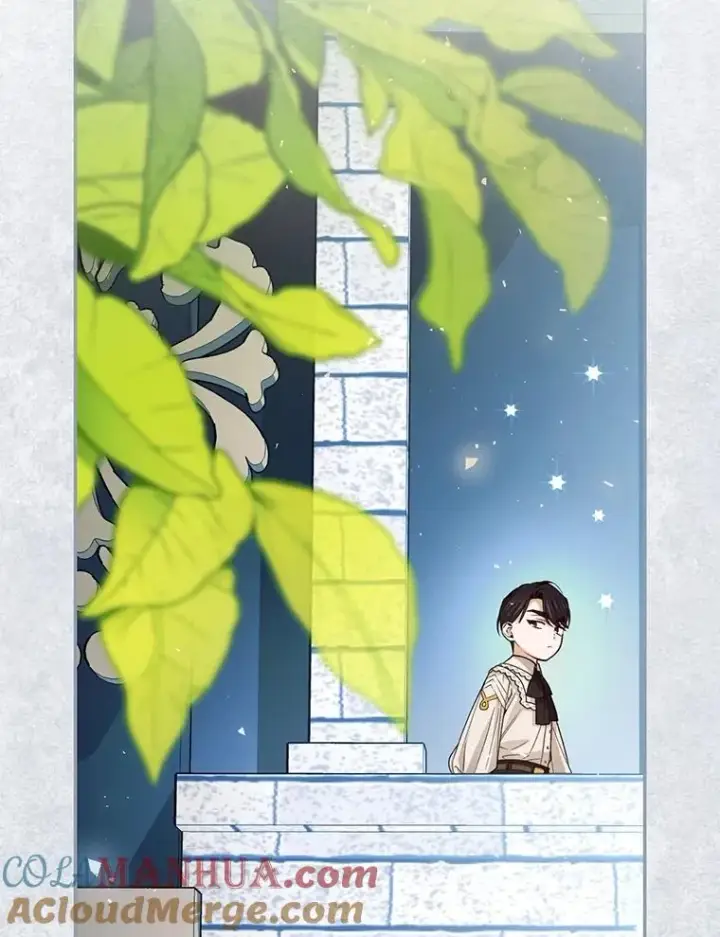 漫画《如何隐藏皇帝的孩子》72.一见钟情第89张图