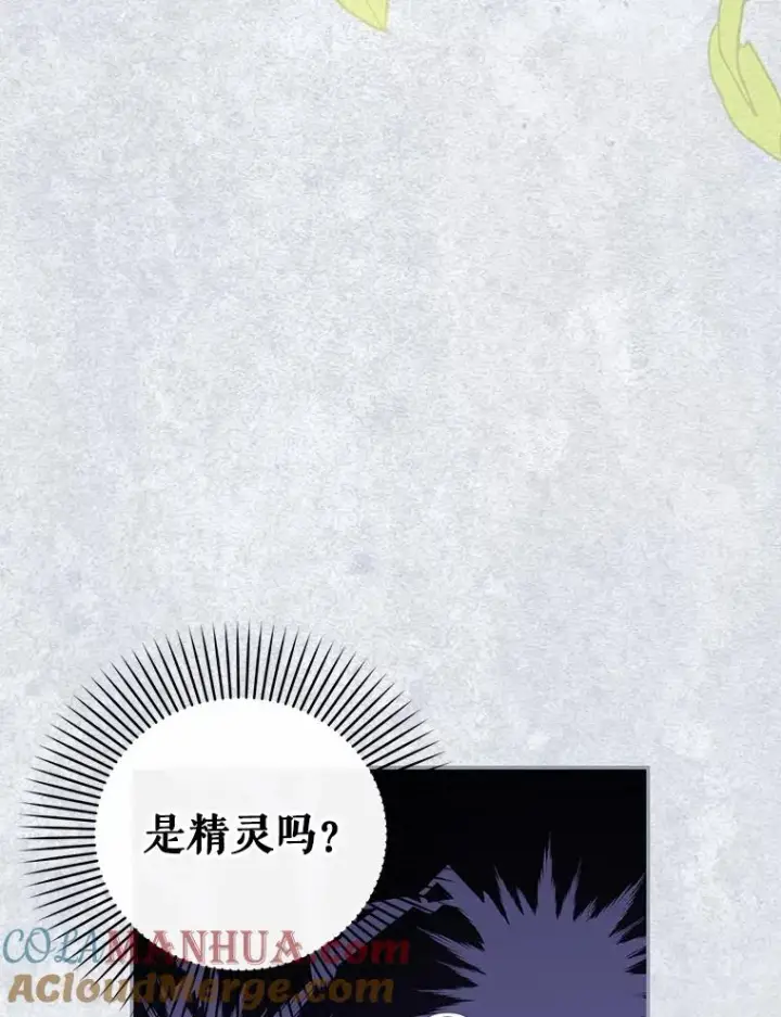 漫画《如何隐藏皇帝的孩子》72.一见钟情第97张图