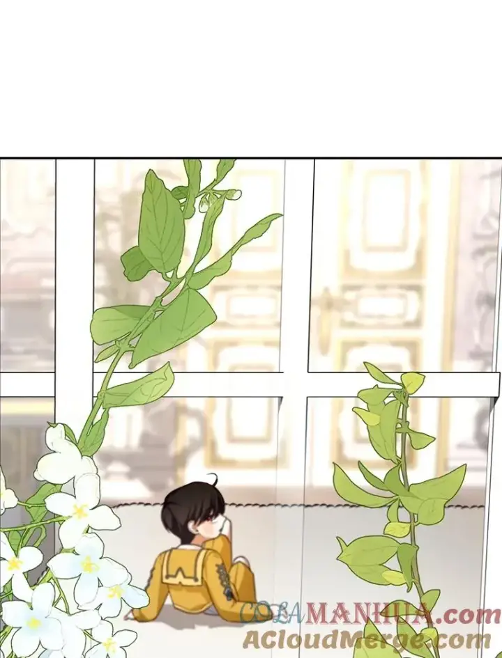 漫画《如何隐藏皇帝的孩子》74.荒唐的请求第89张图