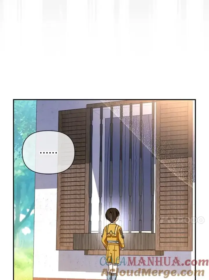漫画《如何隐藏皇帝的孩子》75.误打误撞第33张图