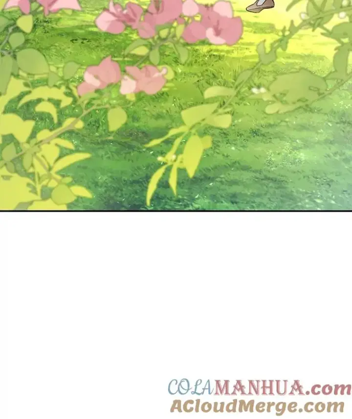 漫画《如何隐藏皇帝的孩子》75.误打误撞第5张图