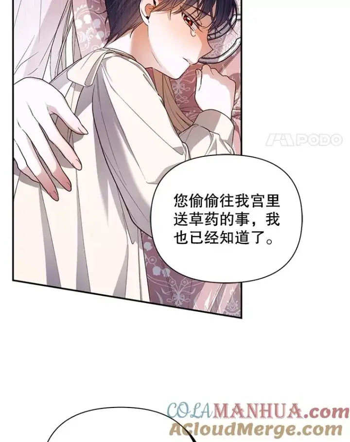 漫画《如何隐藏皇帝的孩子》79.按下决心第17张图