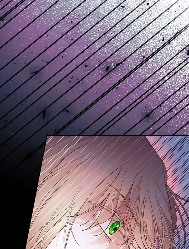 漫画《如何隐藏皇帝的孩子》79.按下决心第6张图