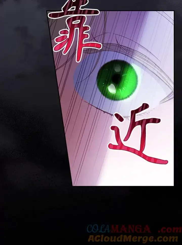 漫画《如何隐藏皇帝的孩子》80.反转第141张图