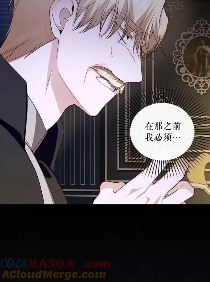 漫画《如何隐藏皇帝的孩子》88.暴露身份第41张图