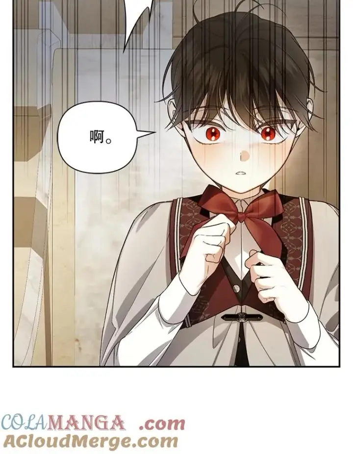 漫画《如何隐藏皇帝的孩子》88.暴露身份第85张图