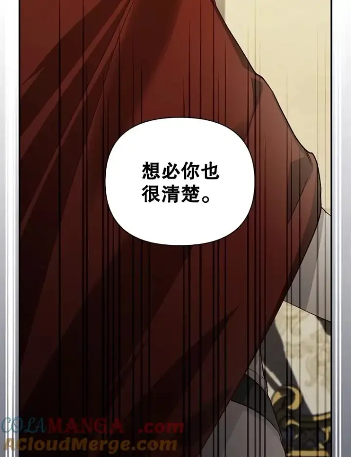 漫画《如何隐藏皇帝的孩子》91.主持大局第49张图