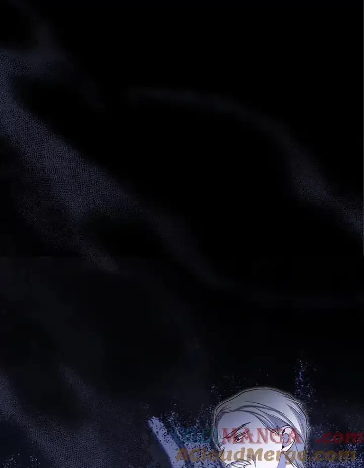 漫画《如何隐藏皇帝的孩子》92.虎父无犬子第101张图