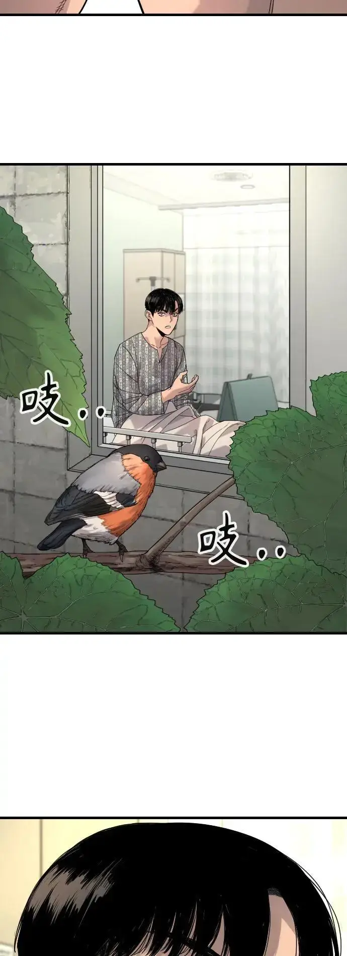 漫画《杀手转职》[第28话] 梧桐上的凤凰第68张图