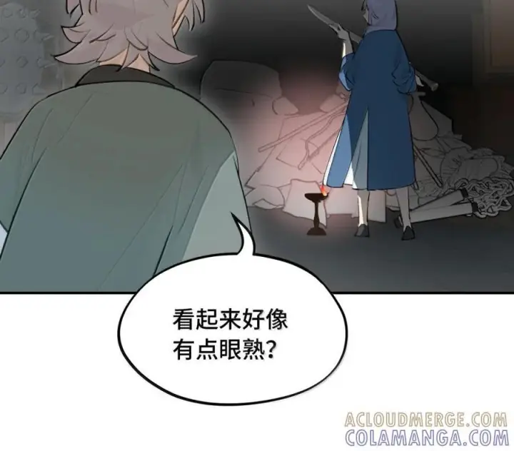 漫画《杀死男主然后成为女魔头》096 唯独它我绝不可能认错第39张图
