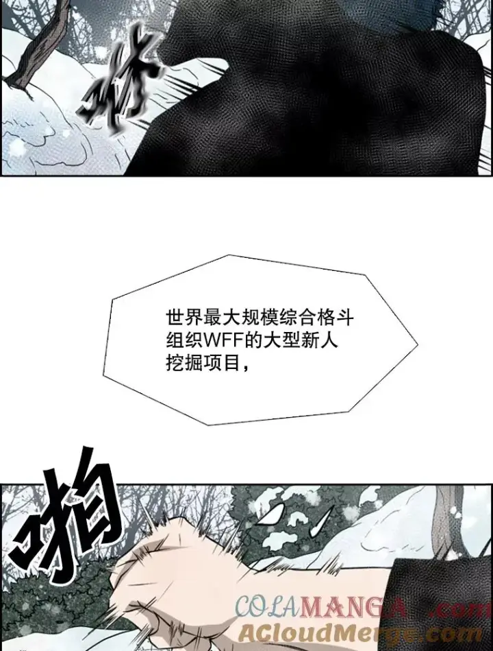 漫画《鲨鱼》121.迎接比赛第5张图
