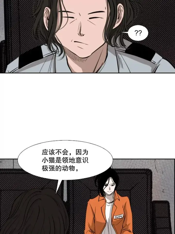 漫画《鲨鱼》124.外传3.那只猫想让你自由第70张图