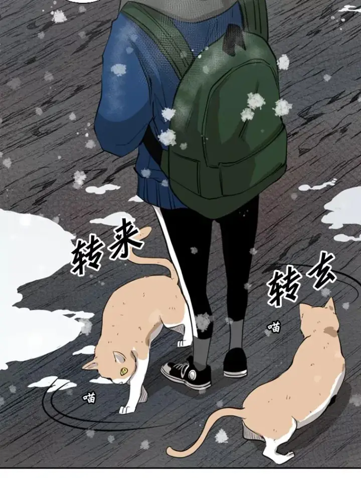 漫画《鲨鱼》124.外传3.那只猫想让你自由第86张图
