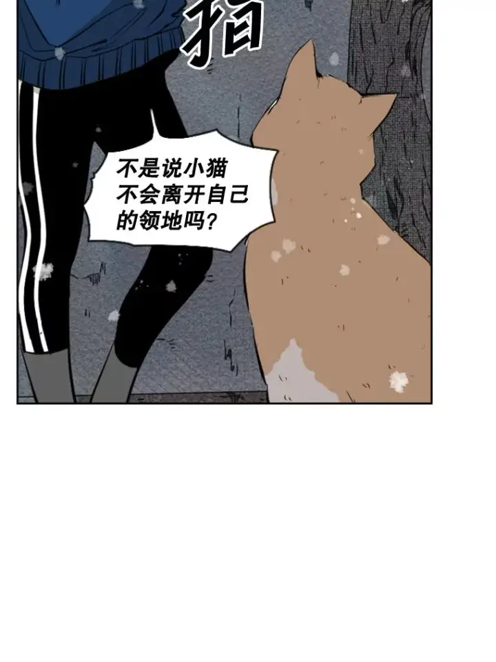 漫画《鲨鱼》124.外传3.那只猫想让你自由第88张图