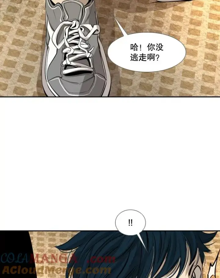 漫画《鲨鱼》145.开始倒计时第21张图