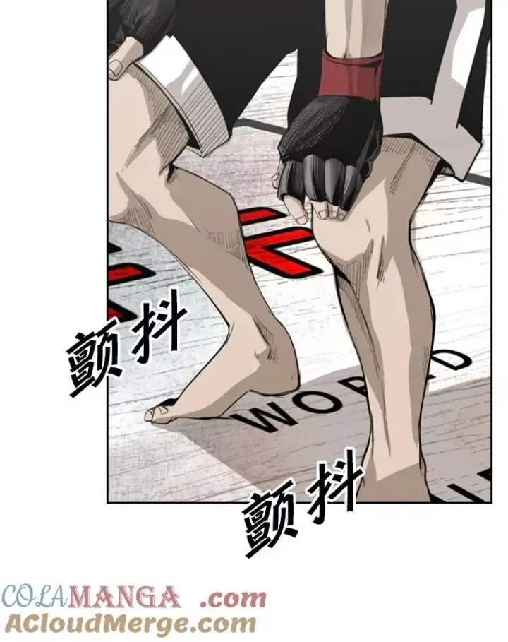 漫画《鲨鱼》148.不被看好又怎样第21张图