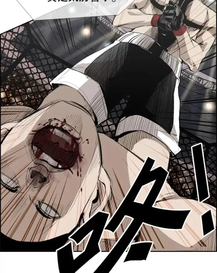 漫画《鲨鱼》150.这是属于我的擂台第100张图
