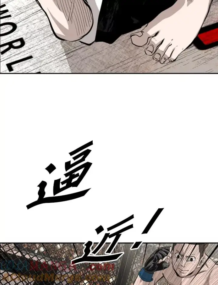 漫画《鲨鱼》152.柔术对抗泰拳第28张图