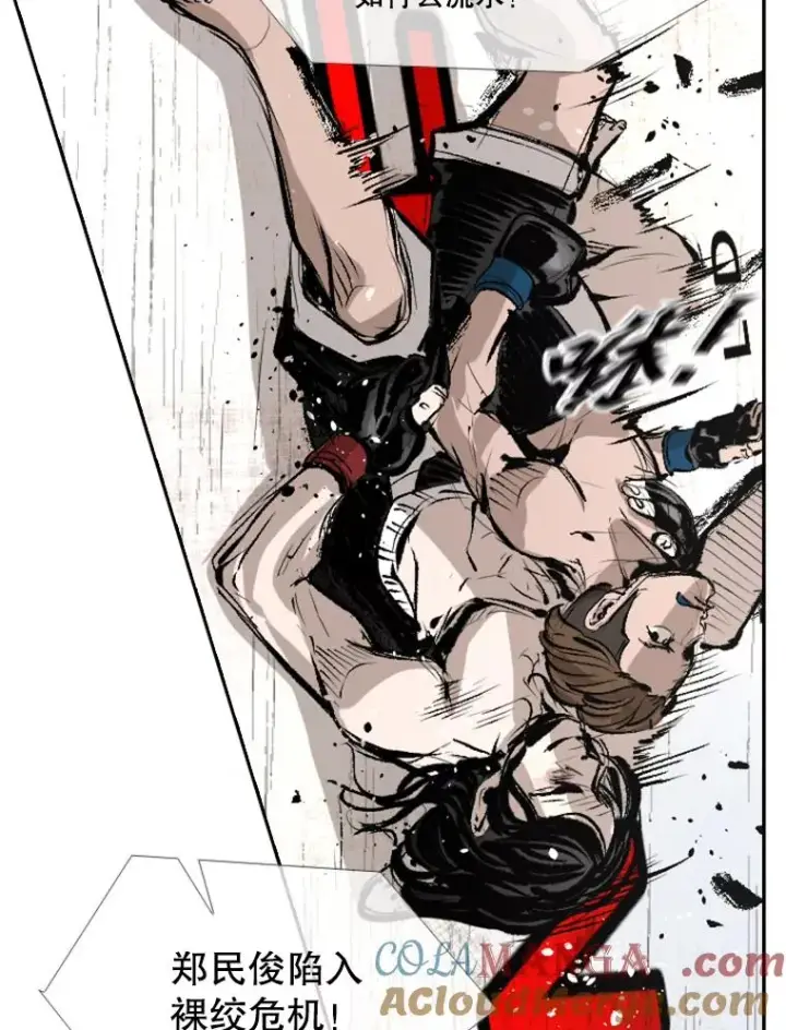 漫画《鲨鱼》152.柔术对抗泰拳第40张图