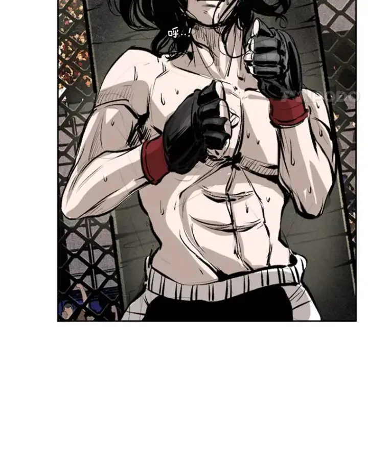 漫画《鲨鱼》152.柔术对抗泰拳第65张图