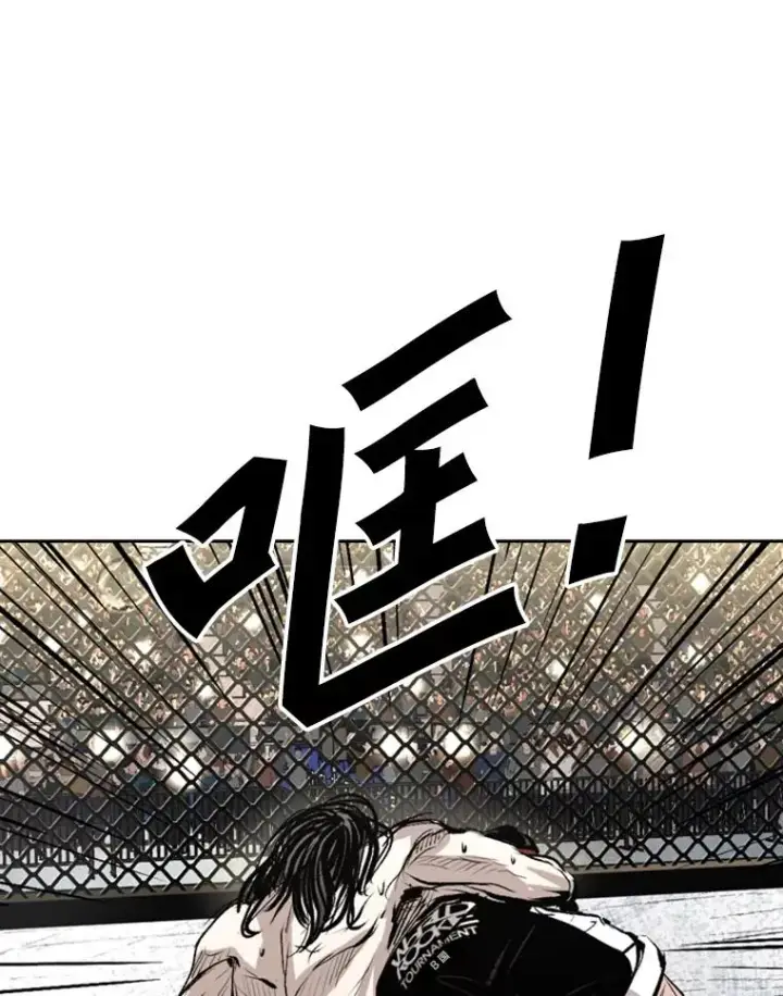 漫画《鲨鱼》152.柔术对抗泰拳第86张图