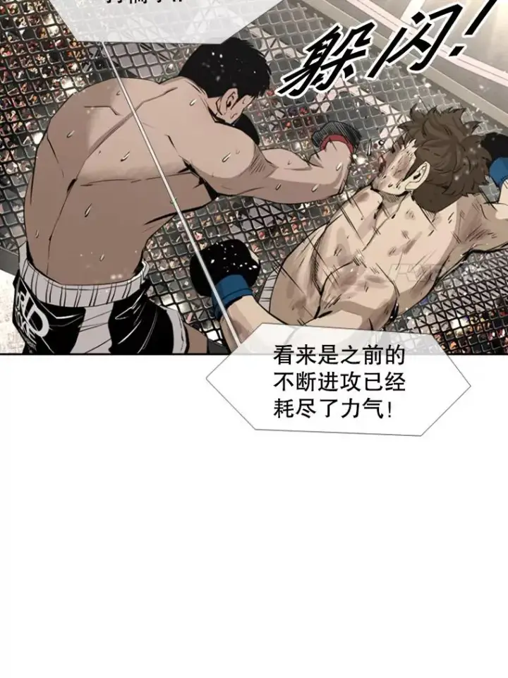 漫画《鲨鱼》160.不屈的斗魂第55张图