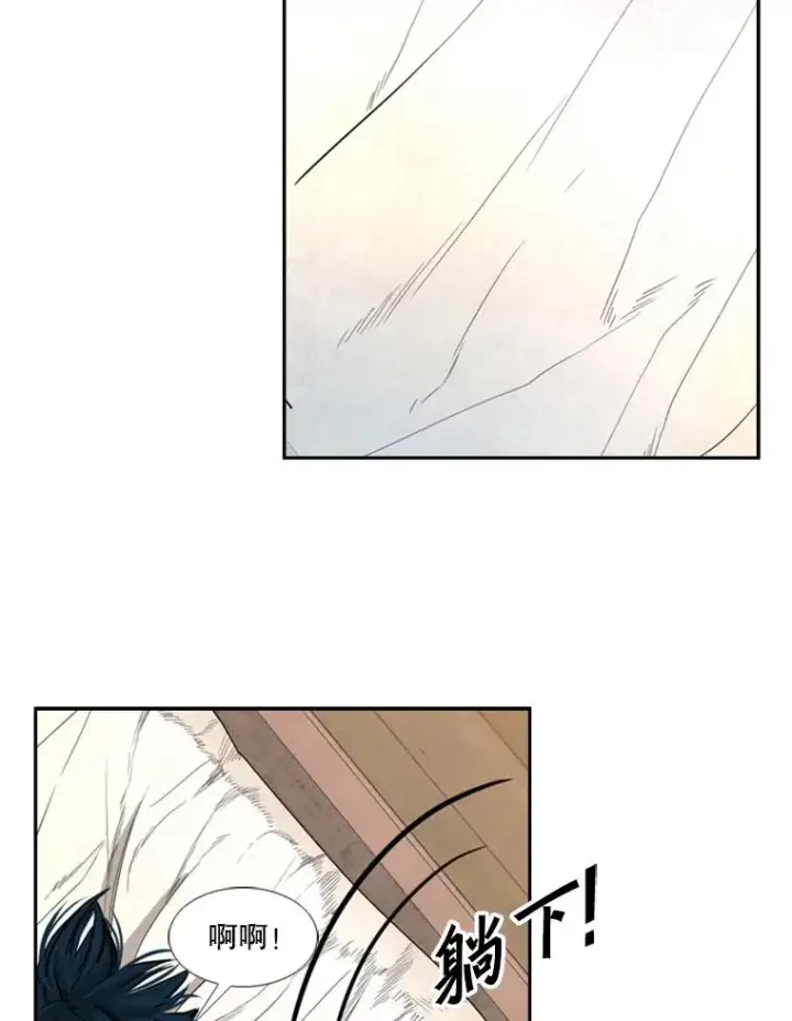 漫画《鲨鱼》164.制定作战计划第26张图