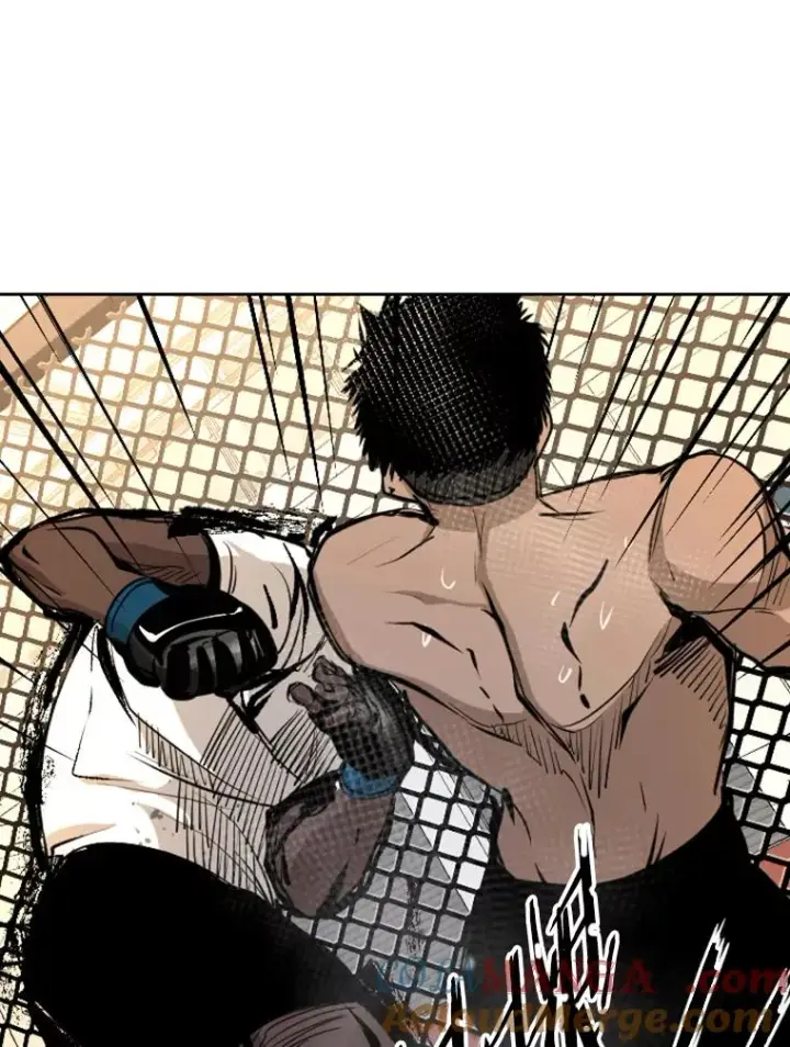 漫画《鲨鱼》164.制定作战计划第69张图