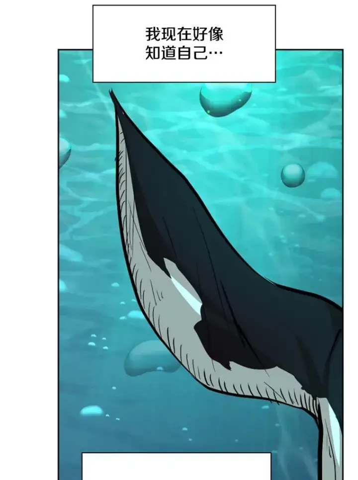 漫画《鲨鱼》168.激烈的较量（2）第80张图