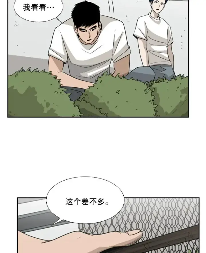 漫画《鲨鱼》16.躲避第53张图