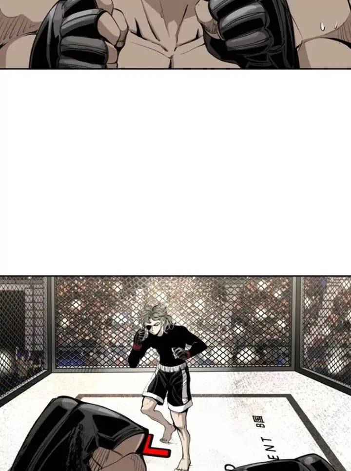 漫画《鲨鱼》174.大块头对战独眼龙（2）第12张图
