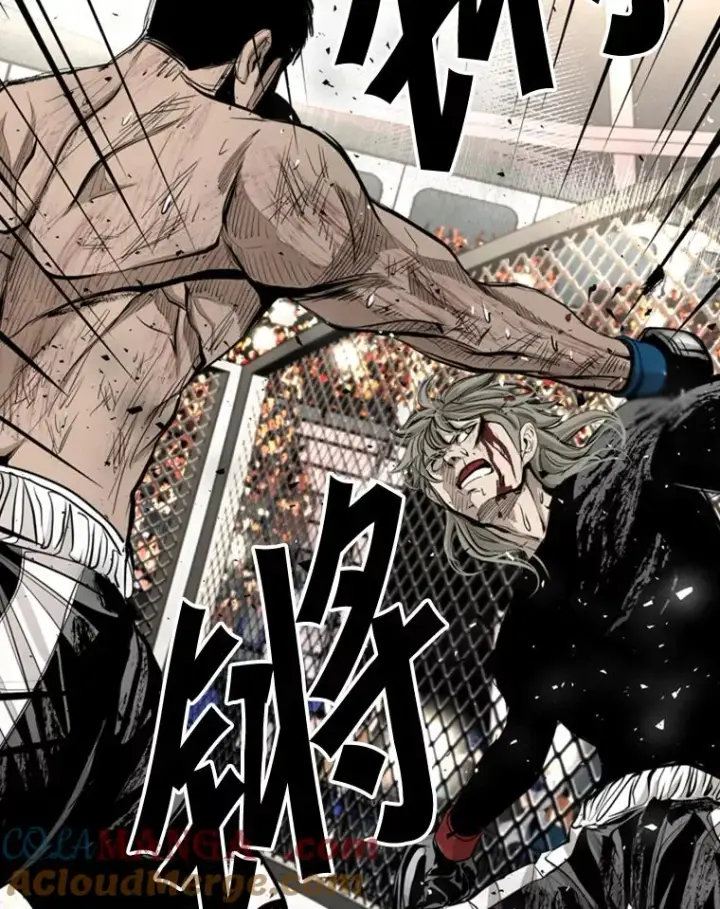漫画《鲨鱼》177.胜利和失败第17张图