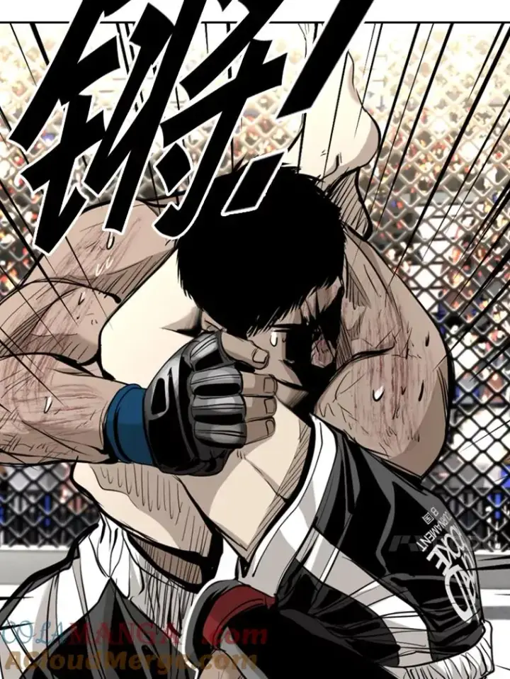 漫画《鲨鱼》177.胜利和失败第45张图