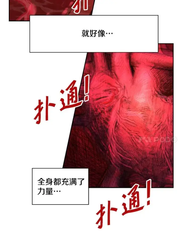 漫画《鲨鱼》186.新纪录第11张图
