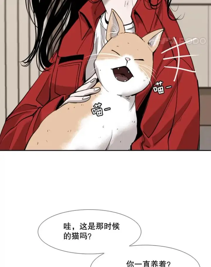 漫画《鲨鱼》191.弃赛第78张图