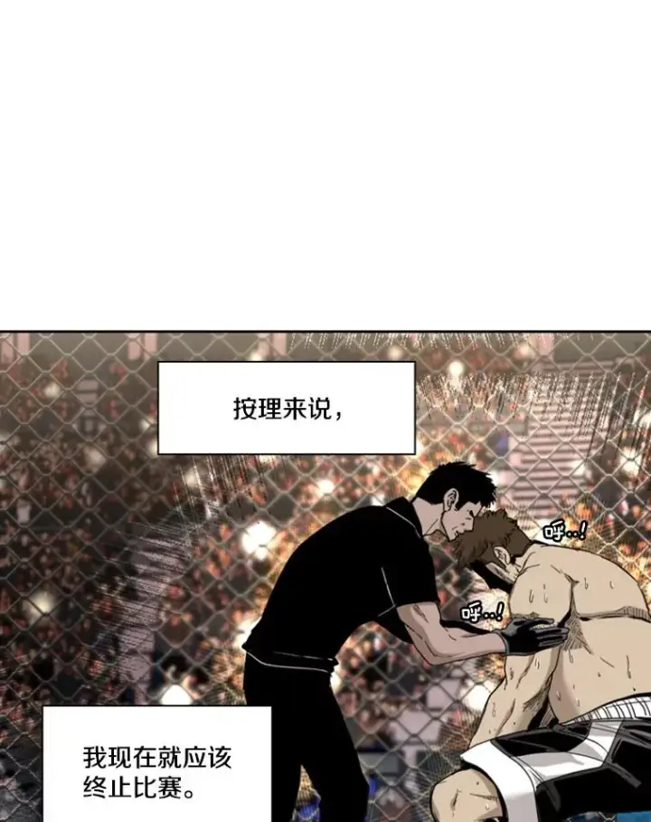 漫画《鲨鱼》197.真正的胜利第44张图