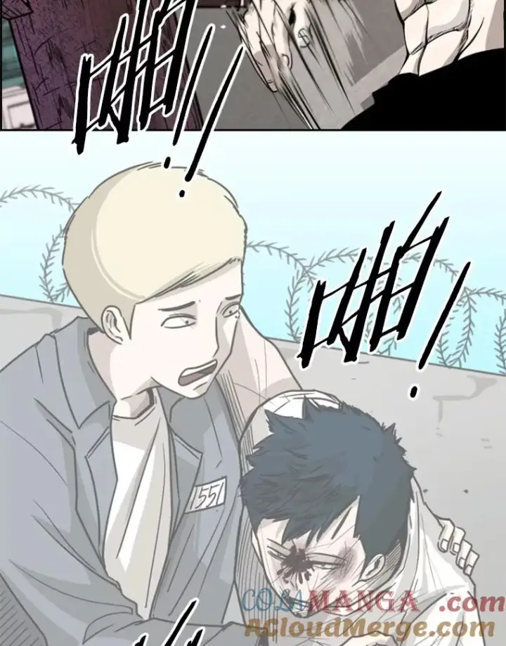 漫画《鲨鱼》200.恭喜你破壳而出第105张图