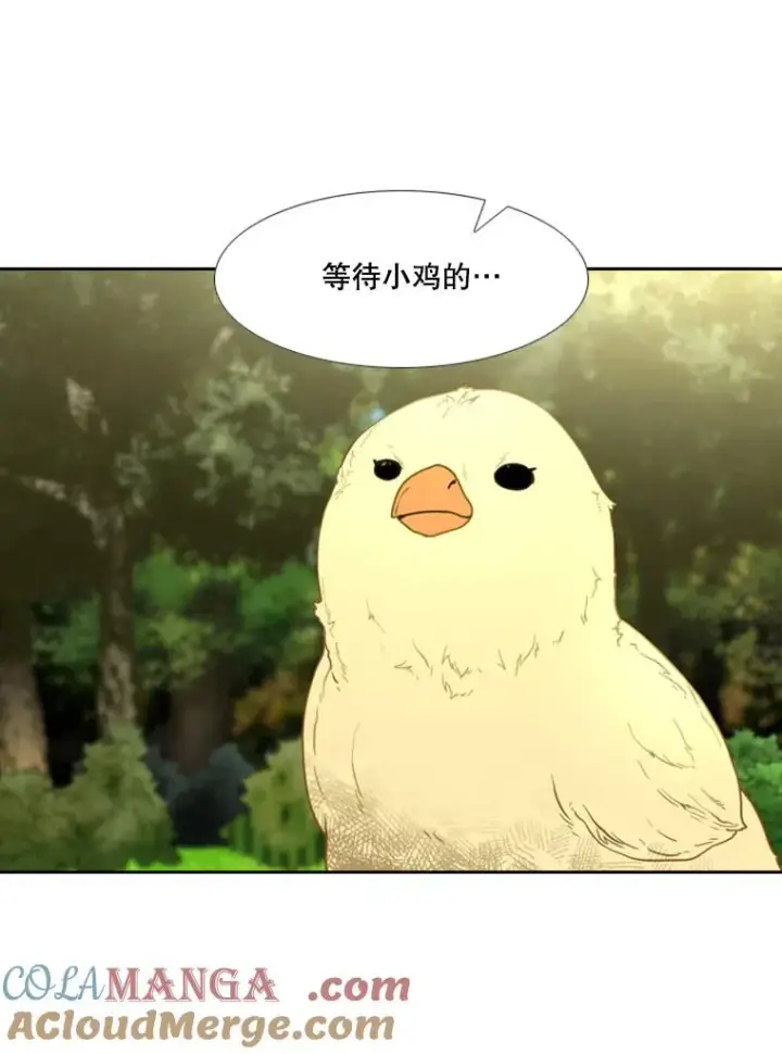 漫画《鲨鱼》200.恭喜你破壳而出第33张图