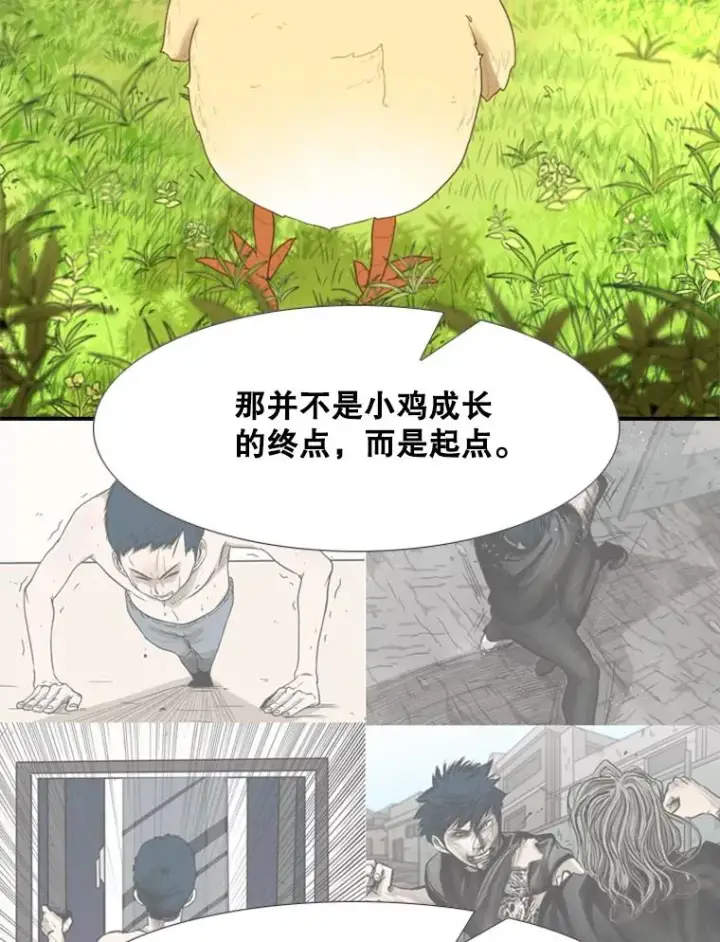 漫画《鲨鱼》200.恭喜你破壳而出第36张图