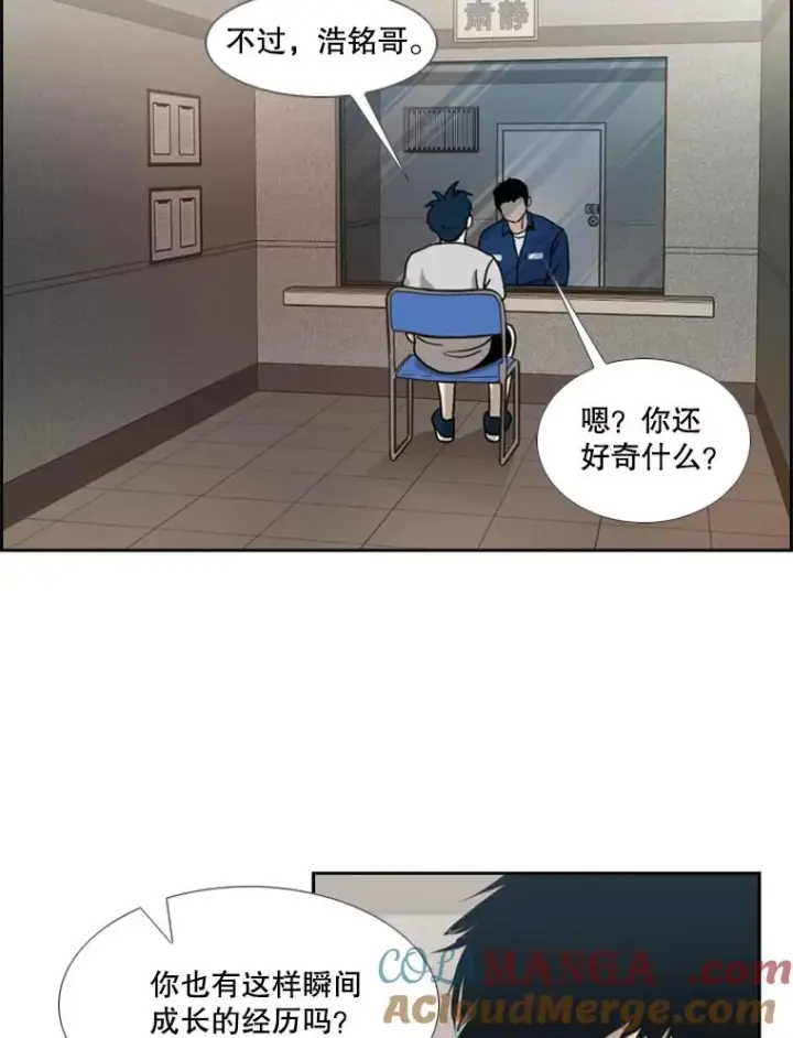 漫画《鲨鱼》200.恭喜你破壳而出第45张图