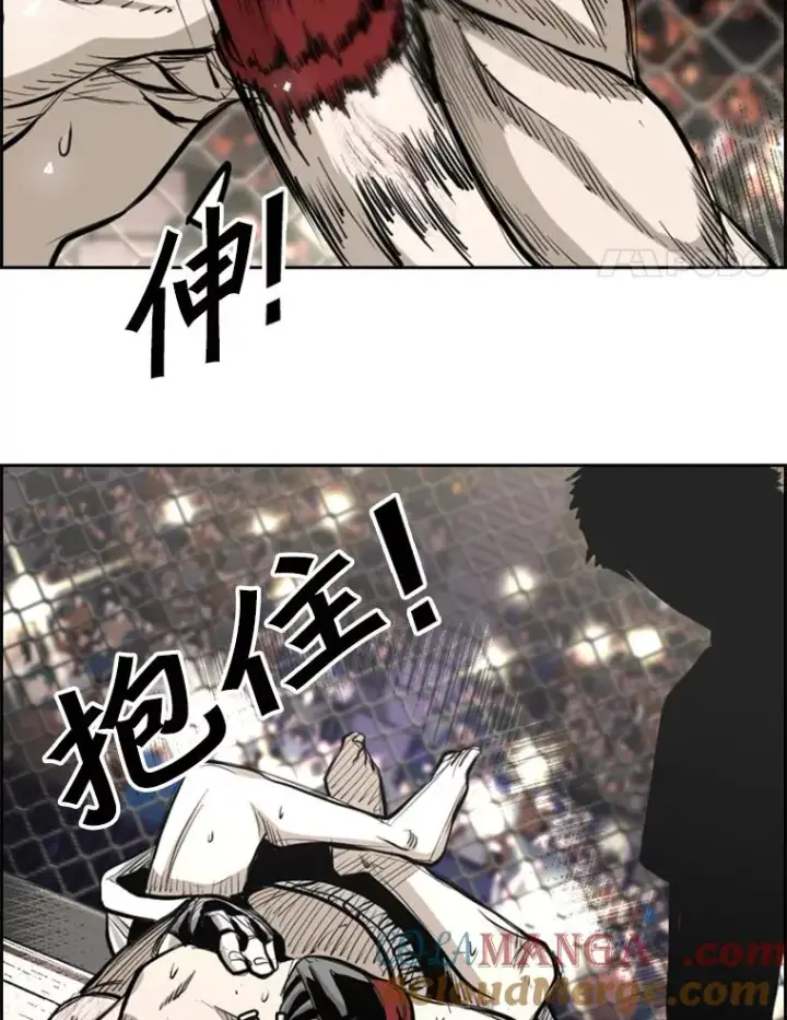 漫画《鲨鱼》203.遇强则强第45张图