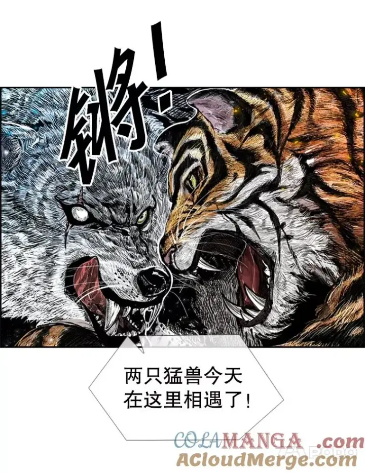 漫画《鲨鱼》208.虎狼相争（1）第61张图