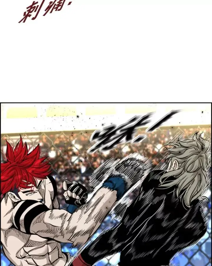 漫画《鲨鱼》209.虎狼相争（2）第24张图