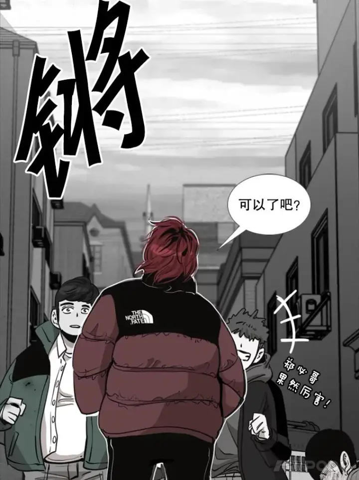 漫画《鲨鱼》210.虎狼相争（3）第51张图