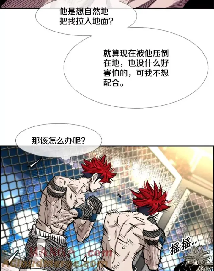 漫画《鲨鱼》213.回礼第21张图