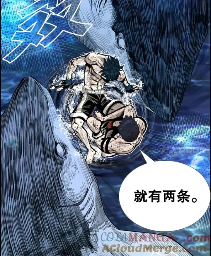漫画《鲨鱼》222.暴风雨前的宁静第113张图