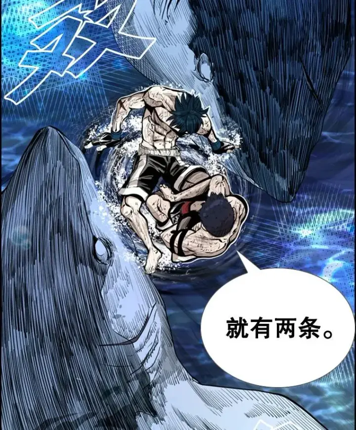 漫画《鲨鱼》223.两条鲨鱼第3张图