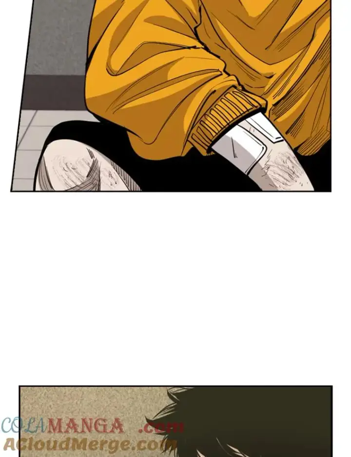 漫画《鲨鱼》226.恭喜你，冠军！第37张图