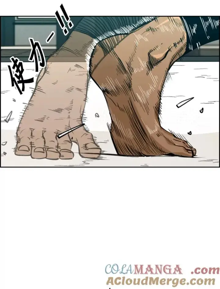 漫画《鲨鱼》231.切磋赛第29张图